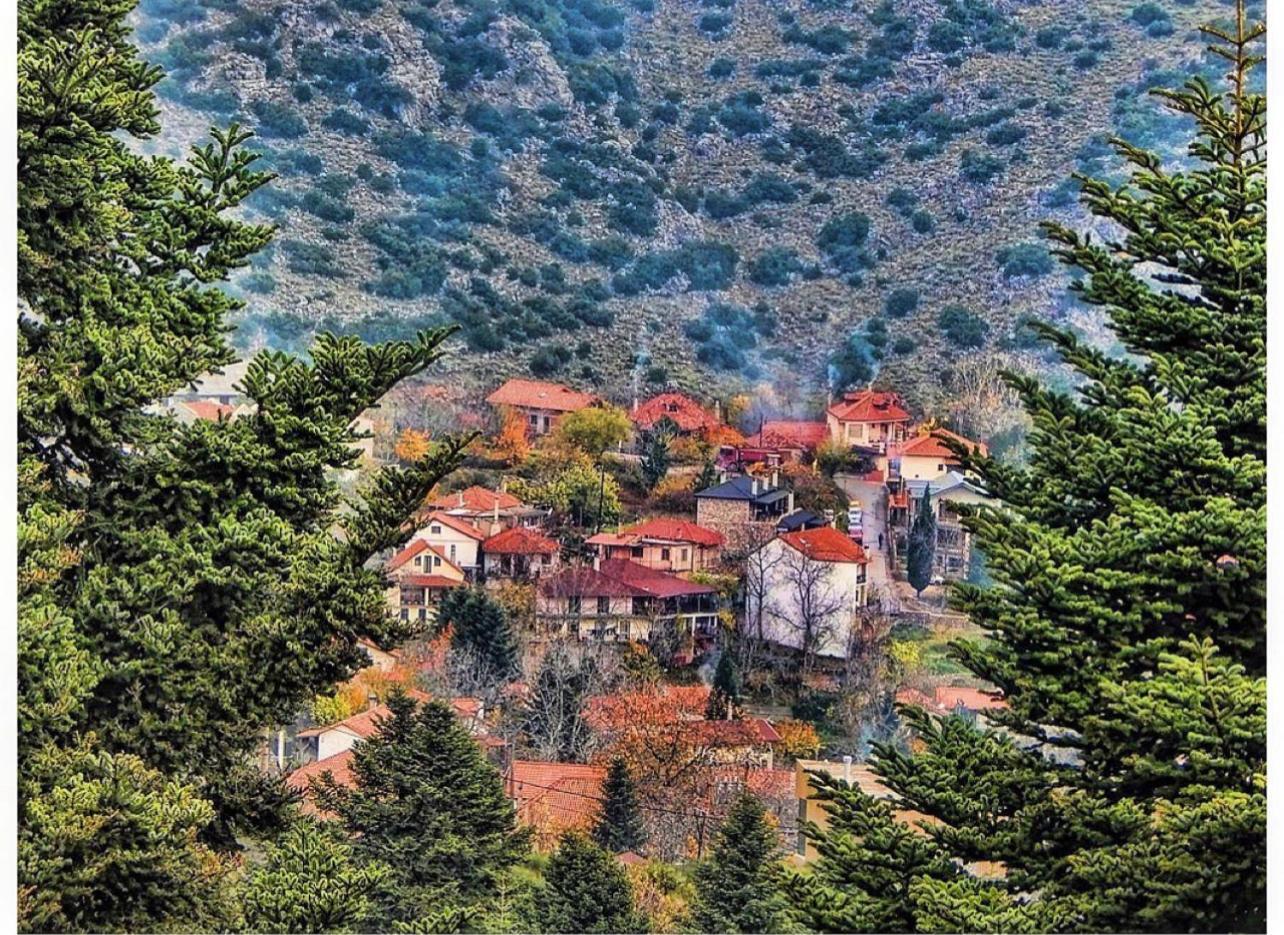 Asimina Guesthouse, Eptalofos Parnassos Exterior photo
